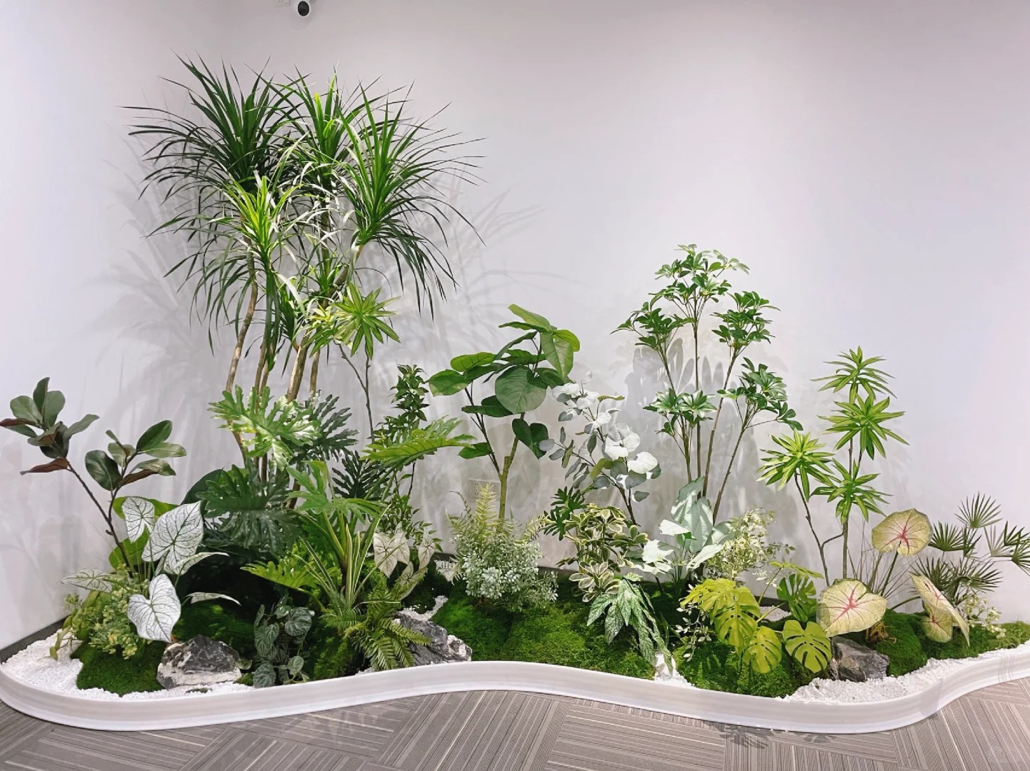 余姚植物租摆专业强，打造专属的绿色风景线！